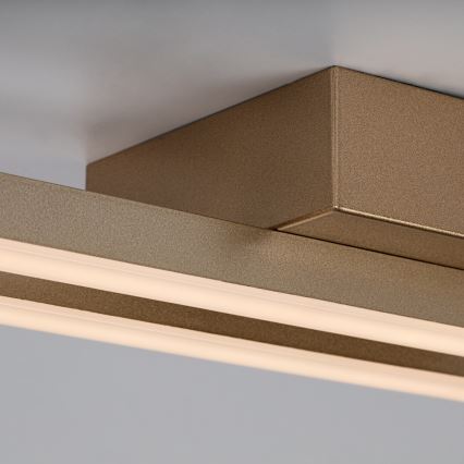 Rabalux - Φωτιστικό οροφής LED/12W/230V 3000K χρυσό