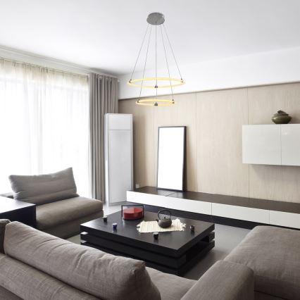 Rabalux - Ρυθμιζόμενο LED φωτιστικό οροφής με καλώδιο LED/55W/230V + τηλεχειριστήριο