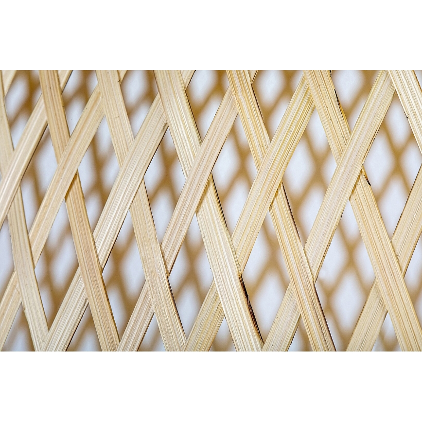 Rabalux - Κρεμαστό φωτιστικό οροφής 1xE27/25W/230V rattan