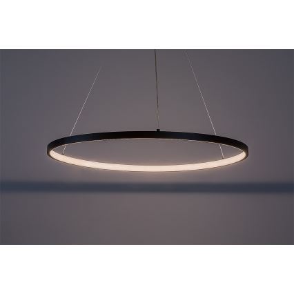 Rabalux - LED πολυέλαιος με ανάρτηση σε καλώδιο LED/55W/230V 3000K