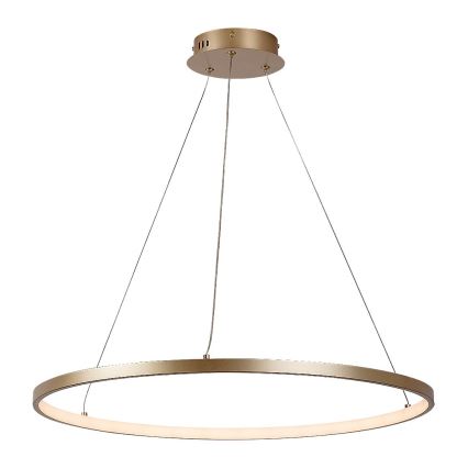 Rabalux - Κρεμαστό LED φωτιστικό με καλώδιο LED/55W/230V 3000K