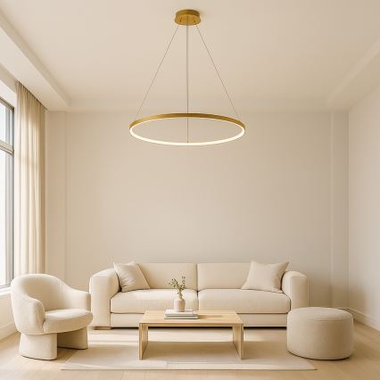 Rabalux - Κρεμαστό LED φωτιστικό με καλώδιο LED/55W/230V 3000K