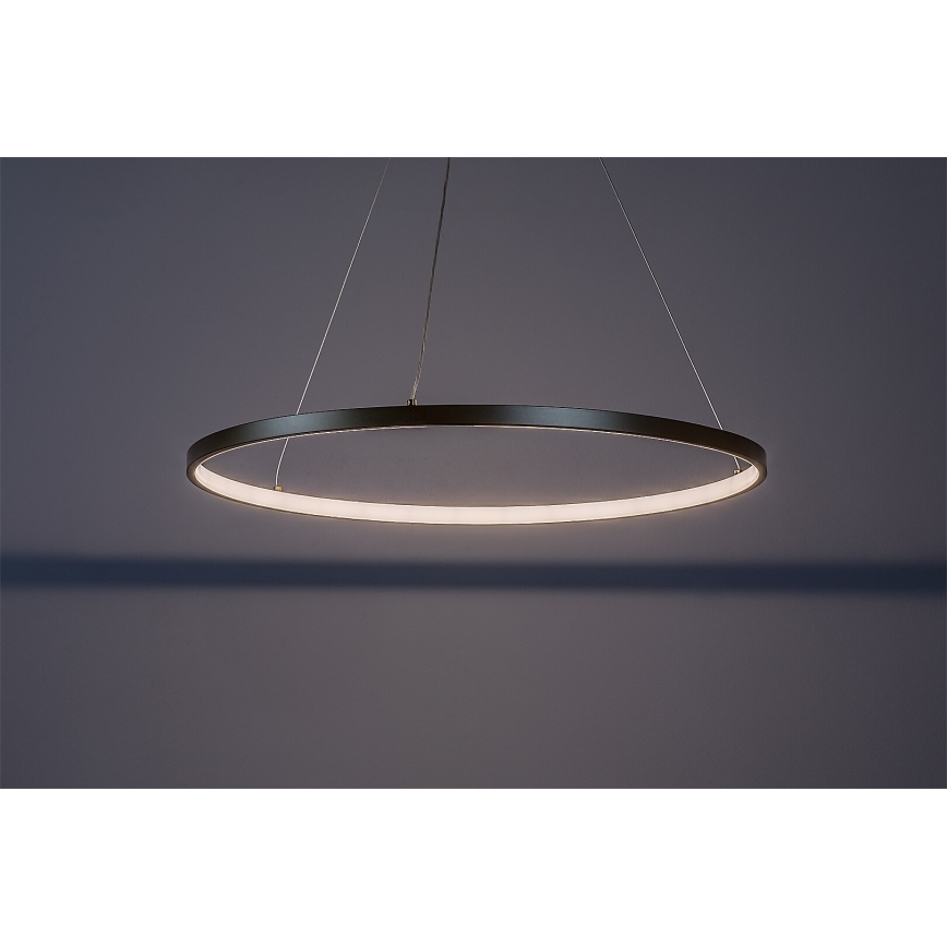 Rabalux - Κρεμαστό LED φωτιστικό με καλώδιο LED/55W/230V 3000K