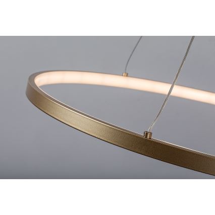 Rabalux - Κρεμαστό LED φωτιστικό με καλώδιο LED/55W/230V 3000K