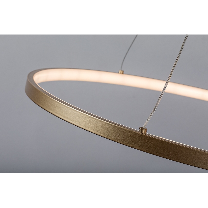 Rabalux - Κρεμαστό LED φωτιστικό με καλώδιο LED/55W/230V 3000K