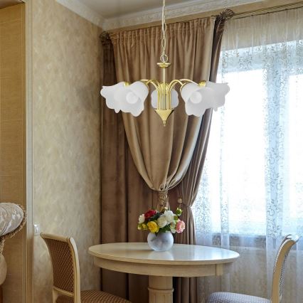 Rabalux - Πολύφωτο σε αλυσίδα 5xE14/40W/230V