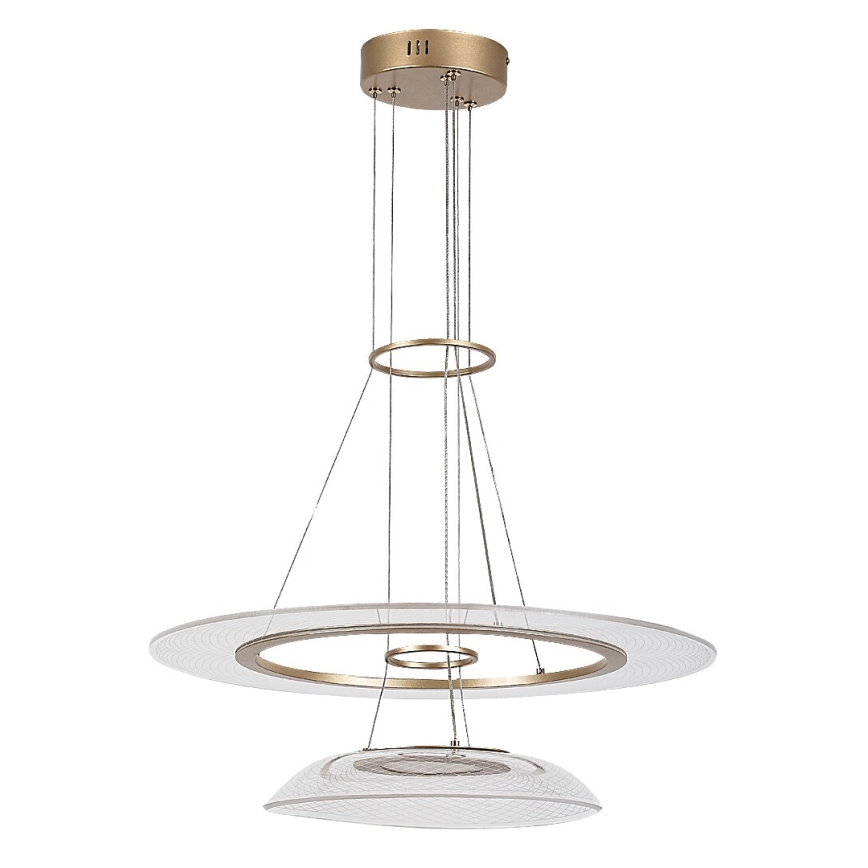 Rabalux - Κρεμαστό φωτιστικό με καλώδιο LED/36W/230V 3000K