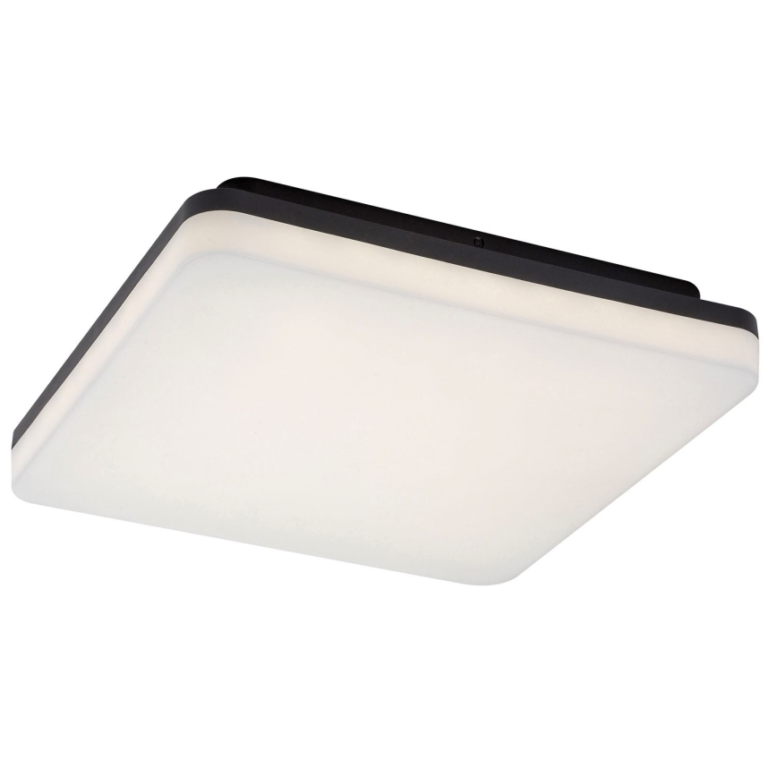 Rabalux - LED Οροφωτιστικό μπάνιου LED/24W/230V IP54