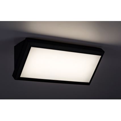 Rabalux - Επιτοίχιο φωτιστικό εξωτερικού χώρου LED LED/12W/230V IP54