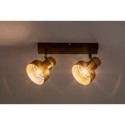 Rabalux - Φωτιστικό σποτ 2xE14/15W/230V