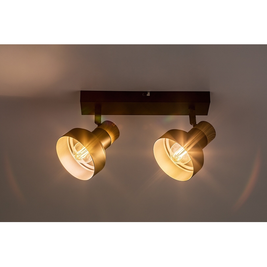 Rabalux - Φωτιστικό σποτ 2xE14/15W/230V
