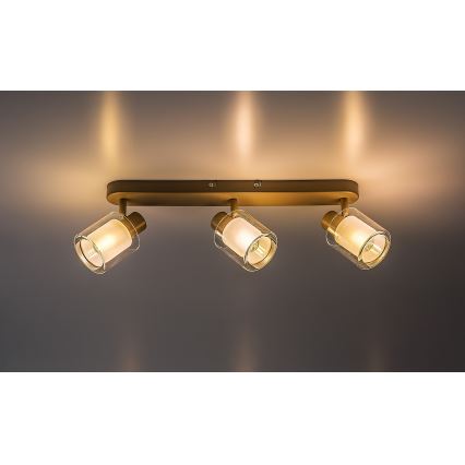 Rabalux - Φωτιστικό σποτ 3xE14/15W/230V