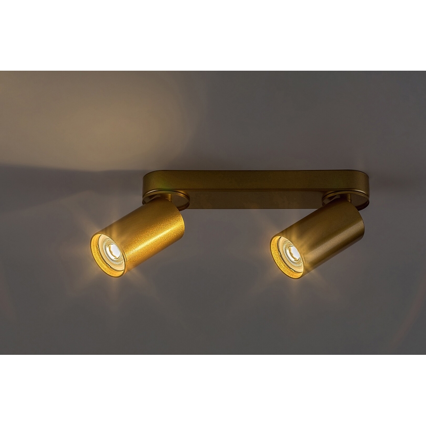 Rabalux - Φωτιστικό σποτ 2xGU10/5W/230V χρυσό