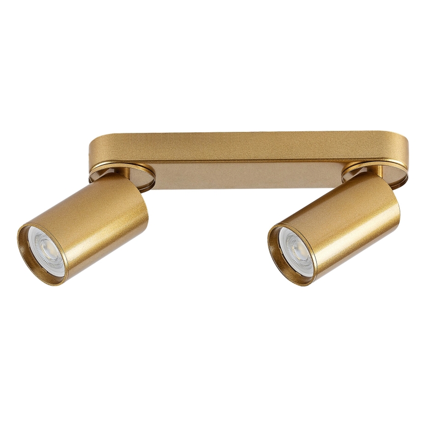 Rabalux - Φωτιστικό σποτ 2xGU10/5W/230V χρυσό