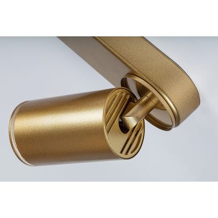 Rabalux - Φωτιστικό σποτ 4xGU10/5W/230V χρυσό