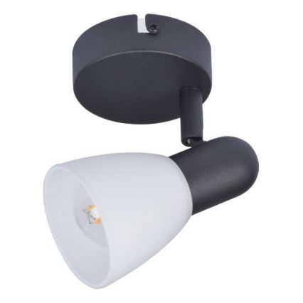 Rabalux - Σποτ φωτισμού 1xE14/40W/230V