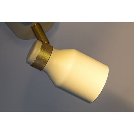 Rabalux - Φωτιστικό σποτ 2xGU10/15W/230V