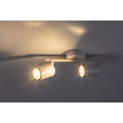 Rabalux - Φωτιστικό σποτ 2xGU10/15W/230V λευκό