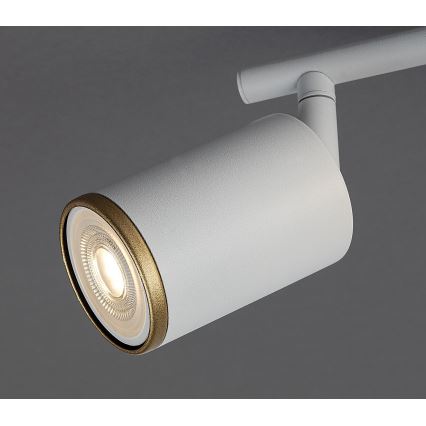 Rabalux - Φωτιστικό σποτ 2xGU10/15W/230V λευκό