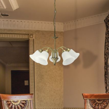 Rabalux - Πολύφωτο σε αλυσίδα 5xE14/40W/230V