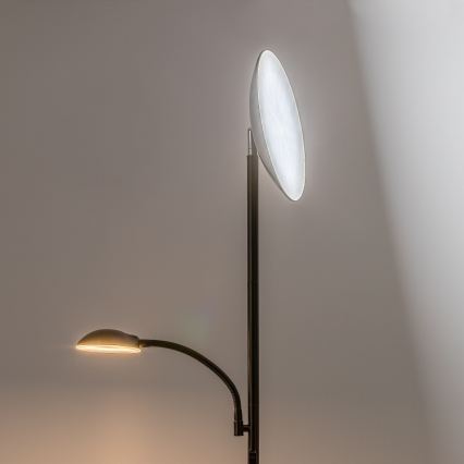 Rabalux - LED Ρυθμιζόμενη επιδαπέδια λάμπα LED/23W/230V 3000/4200/6500 μαύρη