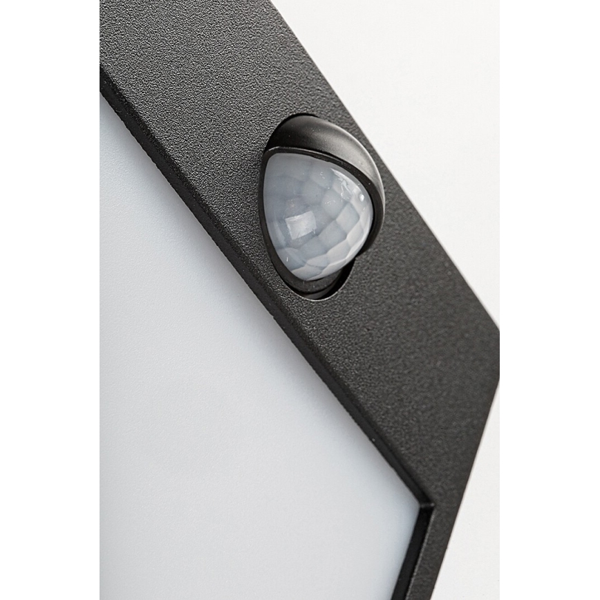 Rabalux - Εξωτερικό επιτοίχιο φωτιστικό LED με αισθητήρα LED/12W/230V μαύρο IP44