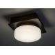 Rabalux - Φωτιστικό οροφής μπάνιου LED LED/5W/230V IP44 4000K μαύρο