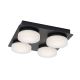 Rabalux - Φωτιστικό οροφής μπάνιου LED 4xLED/5,2W/230V IP44 μαύρο