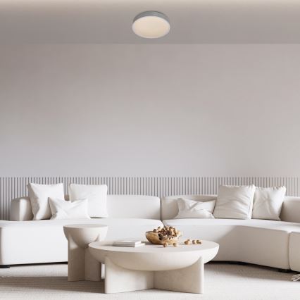 Rabalux - LED Οροφωτιστικό LED/18W/230V IP44 4000K ασημί διάμετρος 28 εκ.