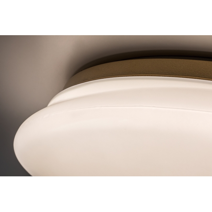 Rabalux - Φωτιστικό οροφής μπάνιου LED/24W/230V IP44 διάμ. 41 cm
