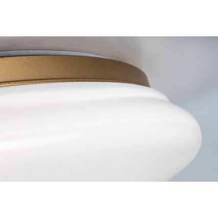 Rabalux - Φωτιστικό οροφής μπάνιου LED/24W/230V IP44 διάμ. 41 cm