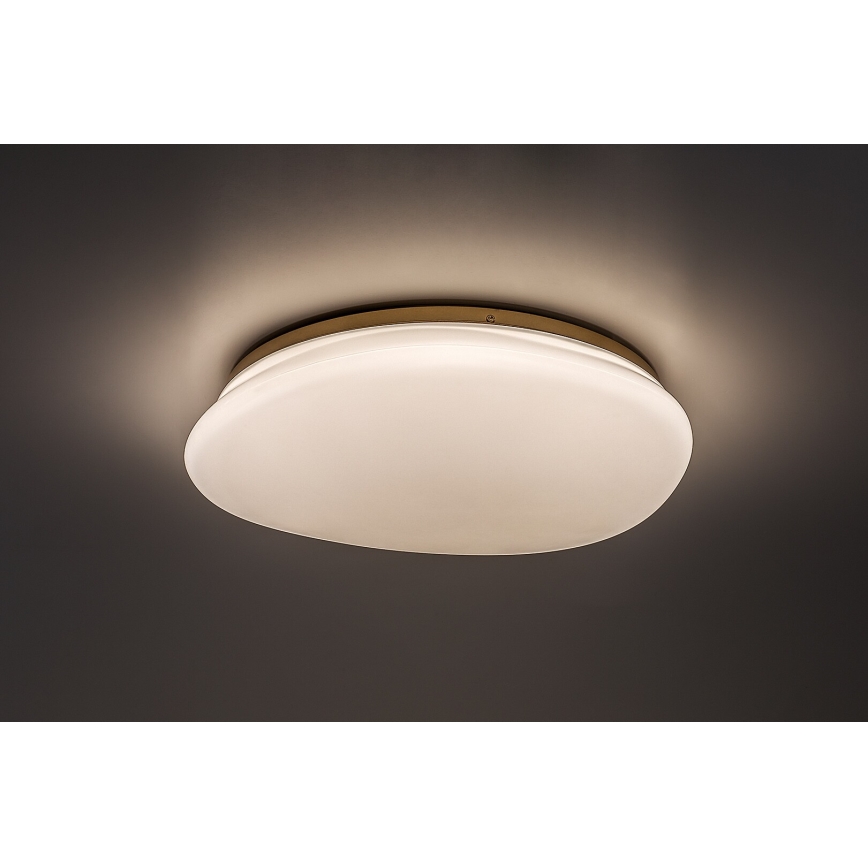 Rabalux - Φωτιστικό οροφής μπάνιου LED/24W/230V IP44 διάμ. 41 cm