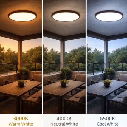 Rabalux - LED φωτιστικό οροφής μπάνιου LED/24W/230V 3000/4000/6000K διάμ. 40 cm IP44 καφέ