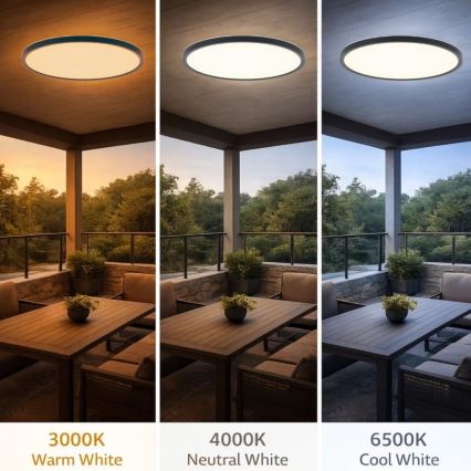 Rabalux - Φωτιστικό οροφής LED για μπάνιο, 24W/230V, 3000/4000/6000K, διάμ. 40 cm, IP44, μαύρο