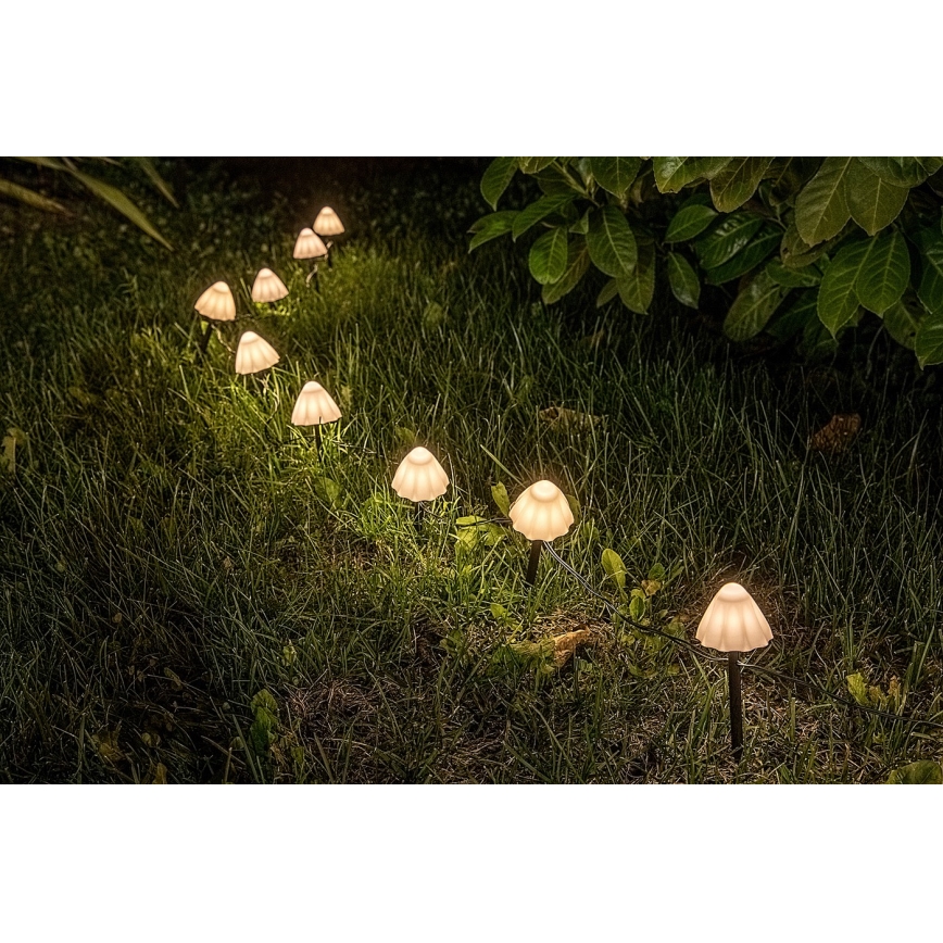 Rabalux - Ηλιακό φωτιστικό LED 10xLED/0,2W/1,2V IP44 300 mAh