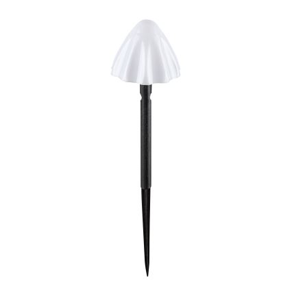 Rabalux - Ηλιακό φωτιστικό LED 10xLED/0,2W/1,2V IP44 300 mAh