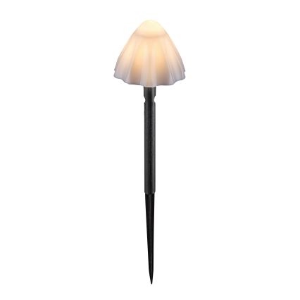 Rabalux - Ηλιακό φωτιστικό LED 10xLED/0,2W/1,2V IP44 300 mAh