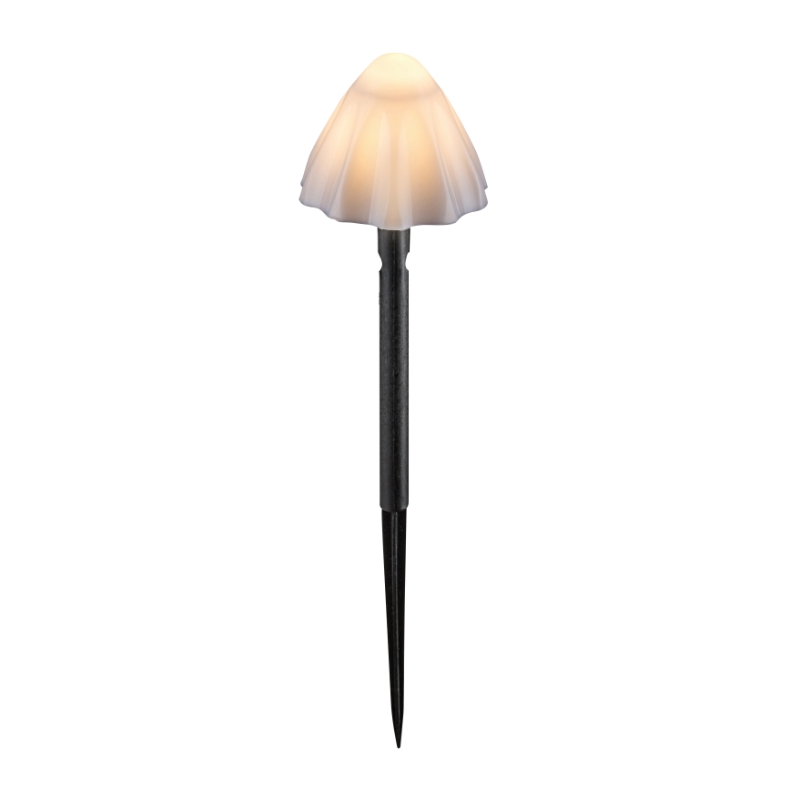 Rabalux - Ηλιακό φωτιστικό LED 10xLED/0,2W/1,2V IP44 300 mAh
