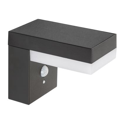 Rabalux - Ηλιακό φωτιστικό LED με αισθητήρα LED/6W/3,7V IP44 2200 mAh