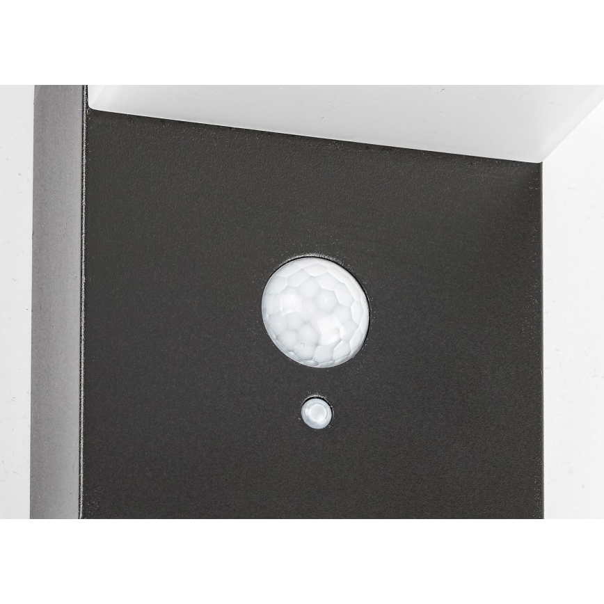 Rabalux - Ηλιακό φωτιστικό LED με αισθητήρα LED/6W/3,7V IP44 2200 mAh