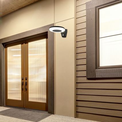 Rabalux - Ηλιακό φωτιστικό LED με αισθητήρα LED/4W/3,7V IP44 2200 mAh