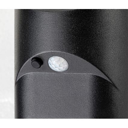 Rabalux - Ηλιακό φωτιστικό LED με αισθητήρα LED/3,6W/3,7V IP44 1800 mAh