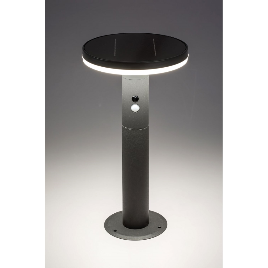 Rabalux - Ηλιακό φωτιστικό LED με αισθητήρα LED/10W/3,7V IP44 2500 mAh