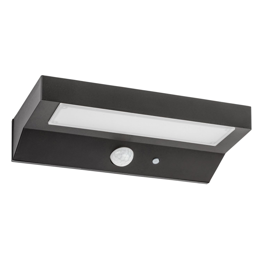 Rabalux - Ηλιακό φωτιστικό LED με αισθητήρα LED/6W/3,7V IP44 2200 mAh