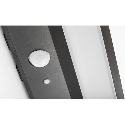 Rabalux - Ηλιακό φωτιστικό LED με αισθητήρα LED/6W/3,7V IP44 2200 mAh