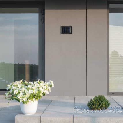 Rabalux 77024 - Ηλιακό φωτιστικό τοίχου LED LED/1,2W/1,2V IP44 600 mAh