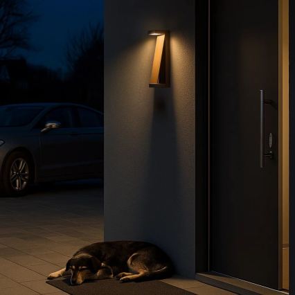 Rabalux - Εξωτερικό επιτοίχιο φωτιστικό LED 13W/230V IP65 καφέ