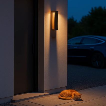 Rabalux - Εξωτερικό επιτοίχιο φωτιστικό LED 13W/230V IP65 καφέ