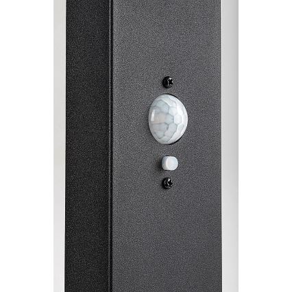 Rabalux - Ρυθμιζόμενος ηλιακός εξωτερικός φωτισμός LED με αισθητήρα LED/4,4W/3,7V IP54 ανθρακί 2200 mAh