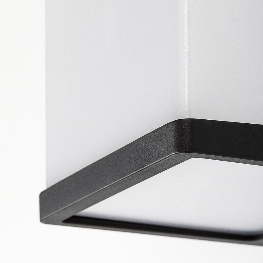 Rabalux - Επιτοίχιο φωτιστικό εξωτερικού χώρου LED LED/10W/230V IP54 μαύρο